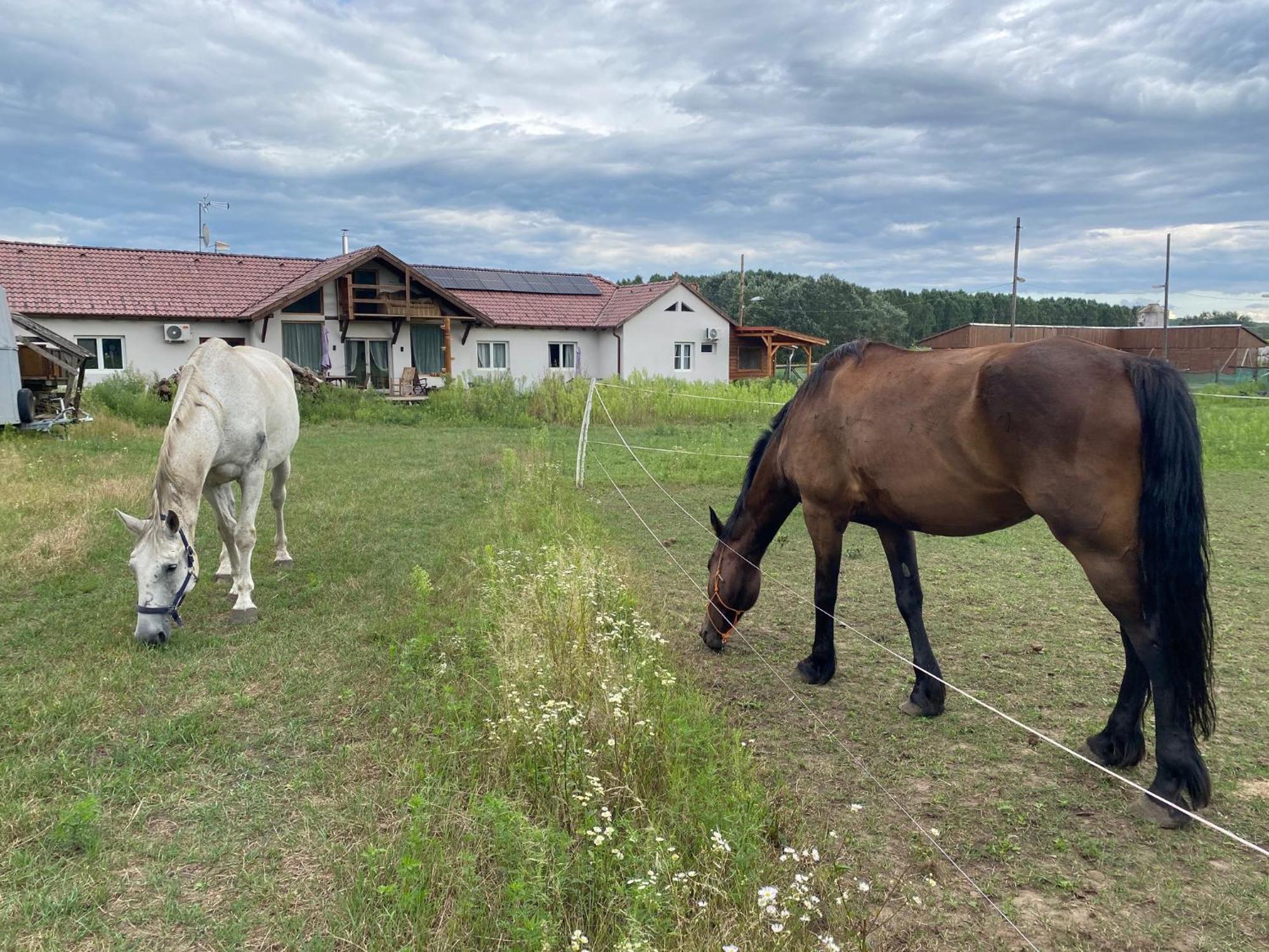 Tuender Pension Mogyorod Exterior photo